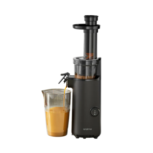 Oraimo Juicer 500ML