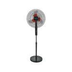 bi fan