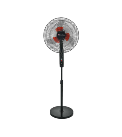 bi fan